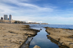 F5AE3F34-B6D2-4B62-B391-A7DCB7509DC7