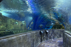 16 - Maltské národní akvárium