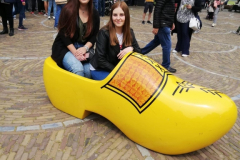 61714903_380492702567987_410943067881734144_n