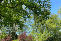 thumbs_IMG-20240516-WA0032
