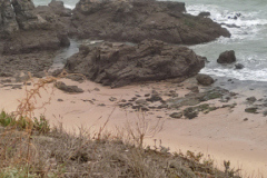 thumbs_IMG_20221001_155542-1